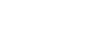 Fun & Fly — logo